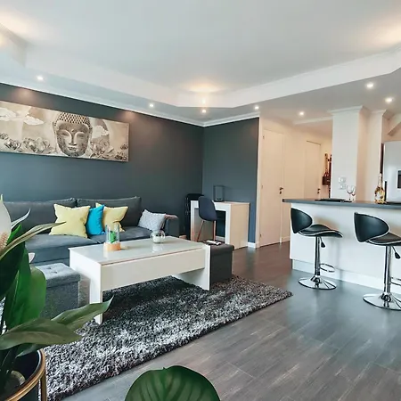 Apartment Magnifique Le Cannet,cannes, Parking, Wifi